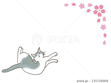 かわいい手描きの猫と桜 135156908