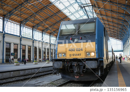 ハンガリー_ブダペスト西駅 ハンガリー_ブダペスト西駅 135156965