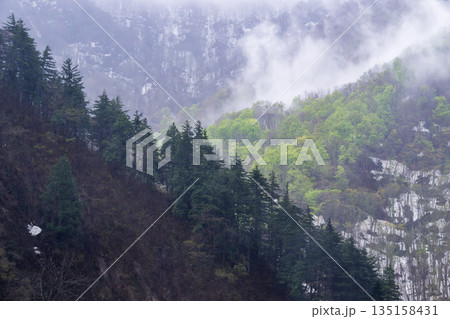霧に包まれる山肌 霧に包まれる山肌 135158431