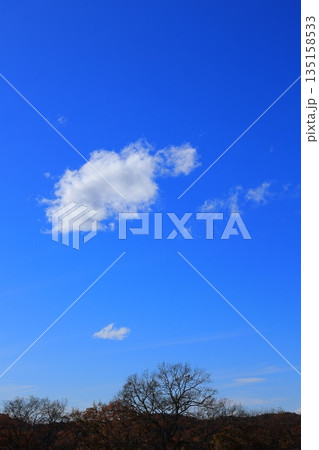冬の青空に浮かぶ白い雲 冬の青空に浮かぶ白い雲 135158533
