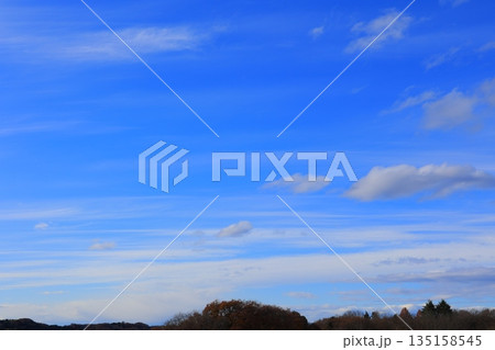 冬の青空に浮かぶ白い雲 冬の青空に浮かぶ白い雲 135158545