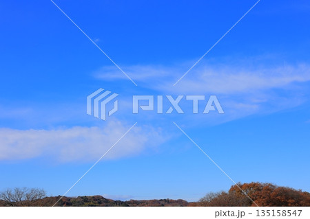 冬の青空に浮かぶ白い雲 冬の青空に浮かぶ白い雲 135158547