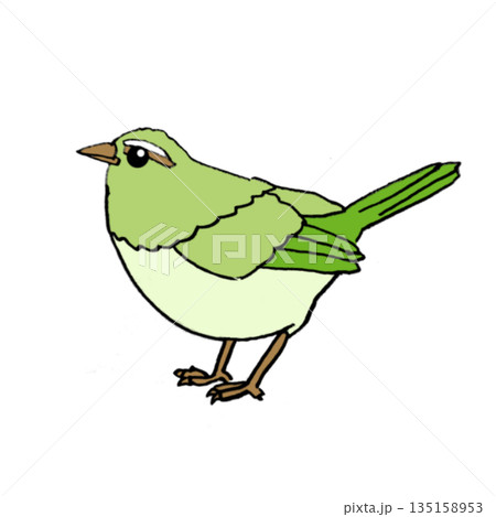 春を告げる鳥 メジロ ウグイス 可愛い手描きイラスト素材 春を告げる鳥 メジロ ウグイス 可愛い手描きイラスト素材 135158953
