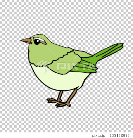 春を告げる鳥 メジロ ウグイス 可愛い手描きイラスト素材 春を告げる鳥 メジロ ウグイス 可愛い手描きイラスト素材 135158953