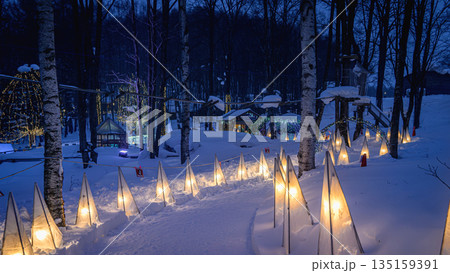 冬のニングルテラス 幻想的な灯りの森（富良野） 135159391