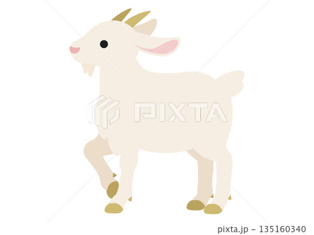 片足を上げて立つ白いヤギのかわいいベクターイラスト 片足を上げて立つ白いヤギのかわいいベクターイラスト 135160340