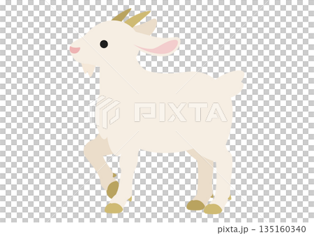 片足を上げて立つ白いヤギのかわいいベクターイラスト 片足を上げて立つ白いヤギのかわいいベクターイラスト 135160340