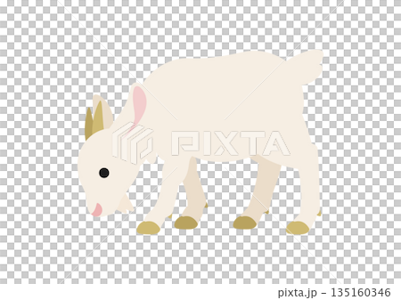 一隻可愛的白山羊吃草的向量插圖 135160346