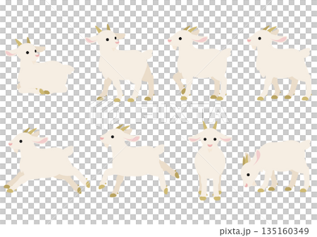 White goat pose set / vector illustration material (8 poses) 135160349