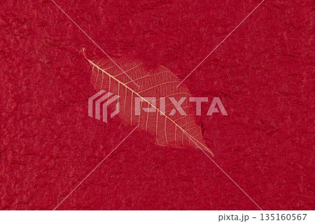 紙素材　和紙　洋紙　テクスチャー 135160567