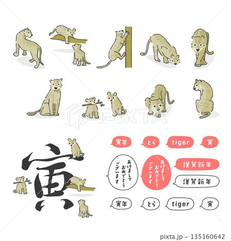 スタイリッシュな寅年のイラスト集 135160642