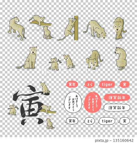 スタイリッシュな寅年のイラスト集 135160642