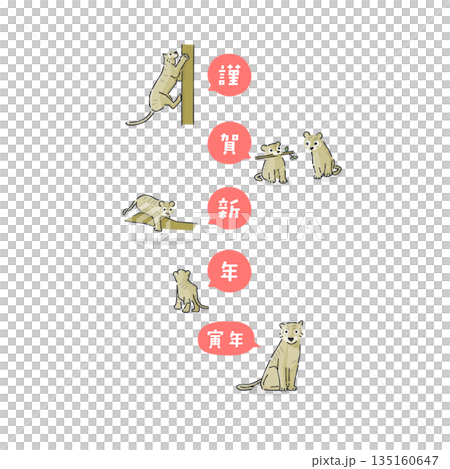 時尚的虎年插畫 135160647