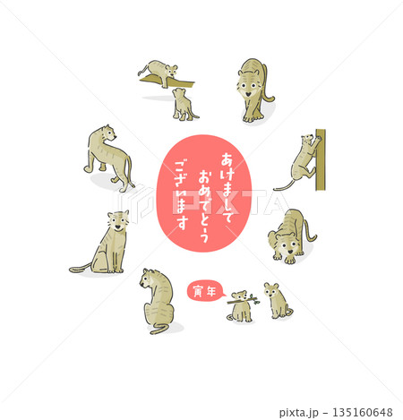 スタイリッシュな寅年のイラスト スタイリッシュな寅年のイラスト 135160648