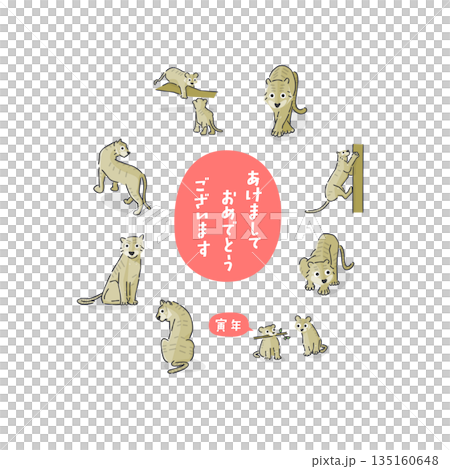 時尚的虎年插畫 135160648
