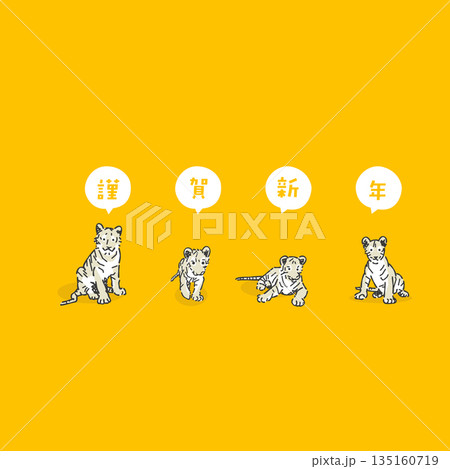 スタイリッシュな寅年のイラスト スタイリッシュな寅年のイラスト 135160719