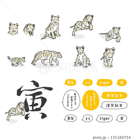 スタイリッシュな寅年のイラスト集 スタイリッシュな寅年のイラスト集 135160754