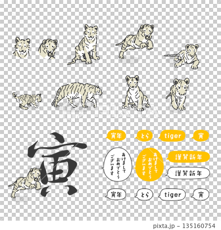 スタイリッシュな寅年のイラスト集 スタイリッシュな寅年のイラスト集 135160754