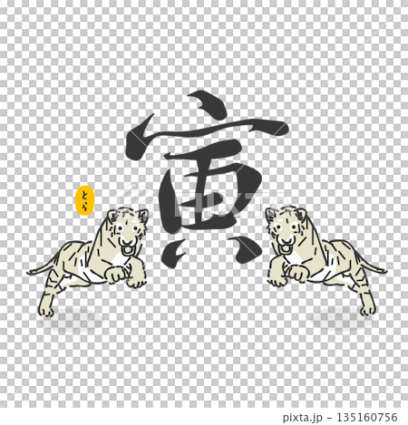 時尚的虎年插畫 135160756