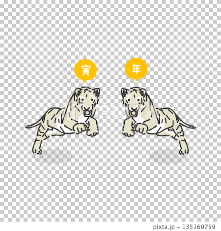 時尚的虎年插畫 135160759