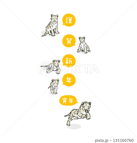 スタイリッシュな寅年のイラスト 135160760
