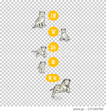 時尚的虎年插畫 135160760