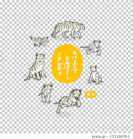時尚的虎年插畫 135160761