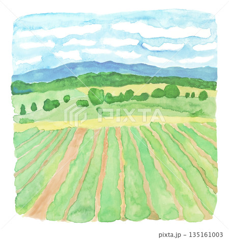 水彩　畑の風景 135161003