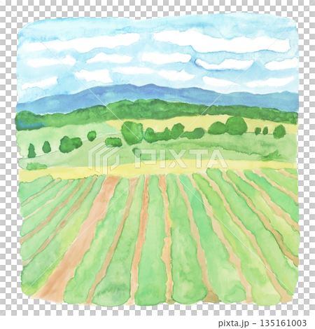 水彩　畑の風景 135161003