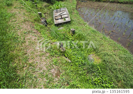 various various 135161595