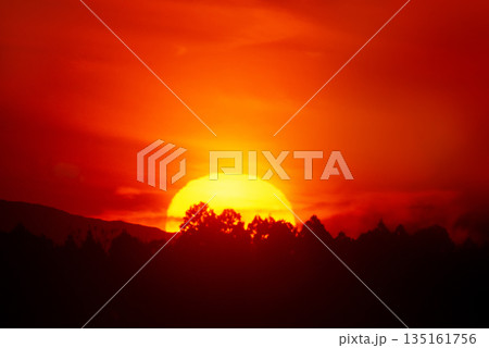 夕陽と林の木々 135161756