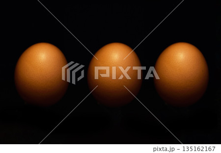 Agriculture. fertility and eggs on a dark background in studio for farm sustainability or reproduction. Food, market and breakfast with fresh chicken produce for a grocery store on a black backdrop 135162167