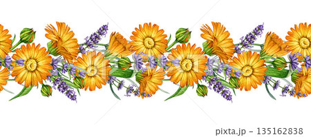 Lavender and calendula flowers seamless border decor element watercolor illustration. Hand drawn fresh calendula mixed with lavender stems floral decoration element isolated on white background Lavender and calendula flowers seamless border decor element watercolor illustration. Hand drawn fresh calendula mixed with lavender stems floral decoration element isolated on white background 135162838