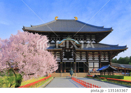 【奈良県】桜が満開の東大寺大仏殿（奈良公園） 135163367