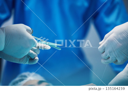 Surgery, hands and doctor cutting thread, stitching patient and surgical procedure with health insurance. People in medicine, surgeon with scissors and medical tools with collaboration in hospital 135164239
