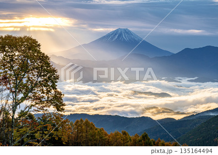 櫛形山林道から望む雲海と富士山に光芒 櫛形山林道から望む雲海と富士山に光芒 135164494