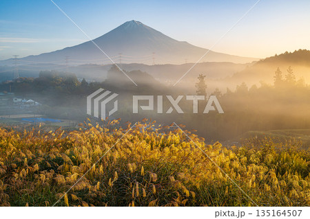 朝靄漂う里山に朝日射す枯れススキに富士山 朝靄漂う里山に朝日射す枯れススキに富士山 135164507