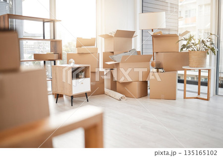 Moving, new home and cardboard boxes for packing house with furniture, living room decorations and apartment space. Household, packed box and empty property to rent, buy or own with modern interior 135165102
