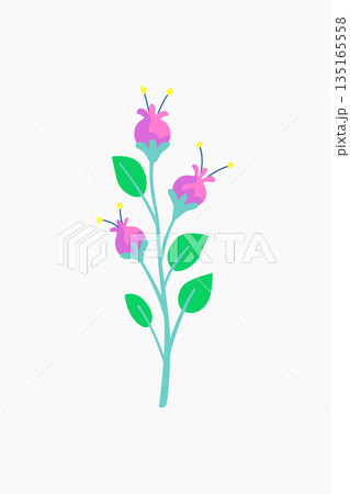 Delicate Floral Illustration with Pink Flowers and Green Leaves Design 135165558