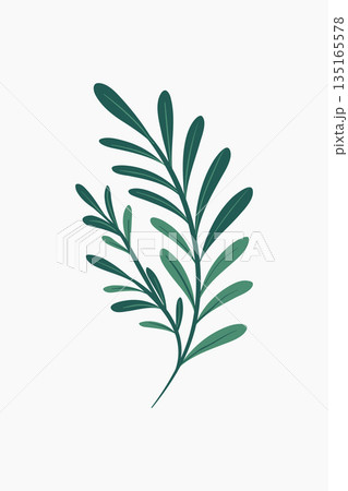 Elegant green leaf sprig illustration on clean white background image 135165578