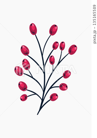 Elegant Red Berries and Branches Illustration on White Background Design Elegant Red Berries and Branches Illustration on White Background Design 135165589