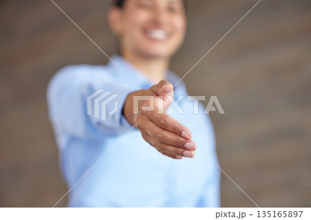 Business person, handshake and employee hand for thank you, greeting and interview meeting. Office, support and welcome b2b gesture with shaking hands for hiring partnership with trust and smile 135165897