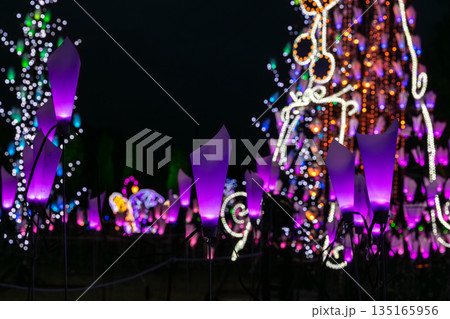 冬の夜のイルミネーション 135165956