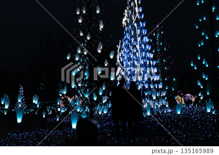 冬の夜のイルミネーション 135165989