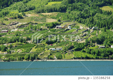 ロストフースの村の長閑な北欧情緒の沿岸風景 135166258