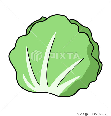 シンプルなレタスのイラスト 135166578