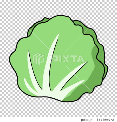 簡單的生菜插圖 簡單的生菜插圖 135166578