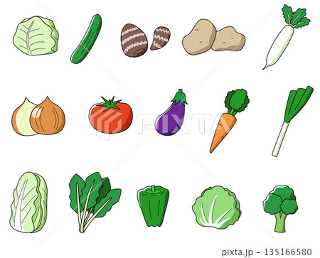 指定野菜15種類のイラストセット 指定野菜15種類のイラストセット 135166580
