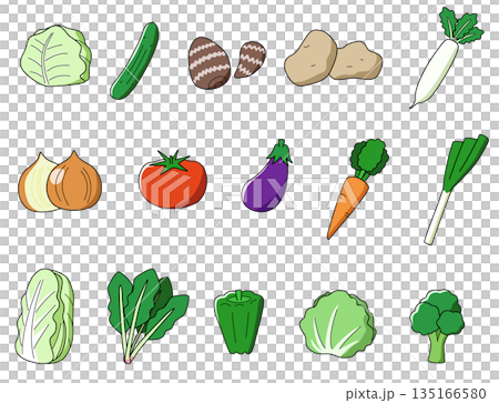 指定野菜15種類のイラストセット 指定野菜15種類のイラストセット 135166580