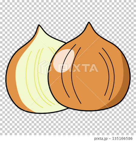 一個簡單的洋蔥的插圖 一個簡單的洋蔥的插圖 135166586